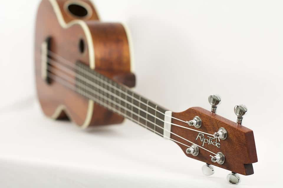 10 Best Ukuleles In The World Reviews Musiccritic