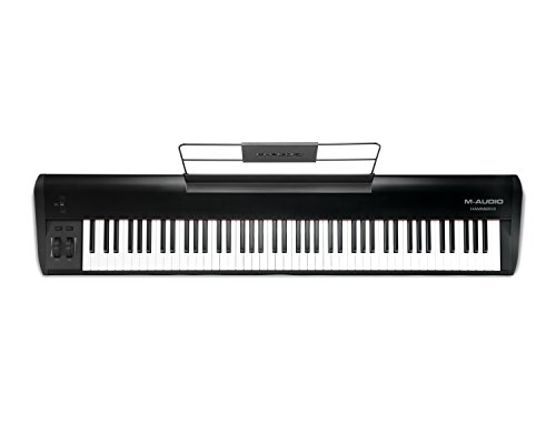 best inexpensive keyboard with weighted keys