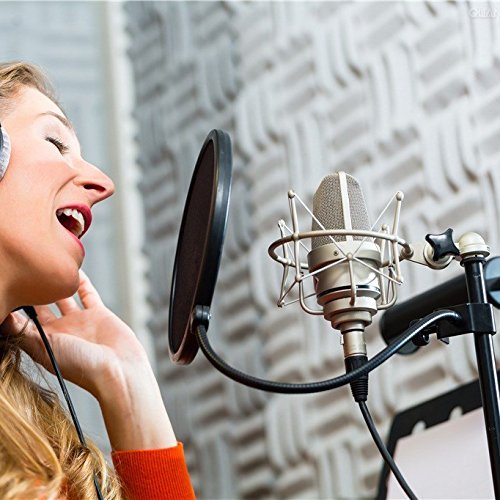Women singing into pop filter and microphone