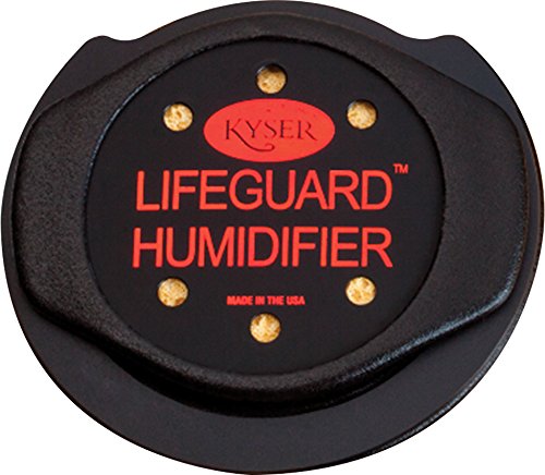 Kyser Lifeguard