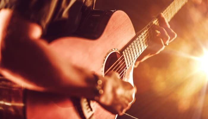 Guitar Humidifier