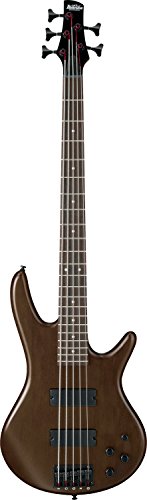 Ibanez 5 String Bass Guitar