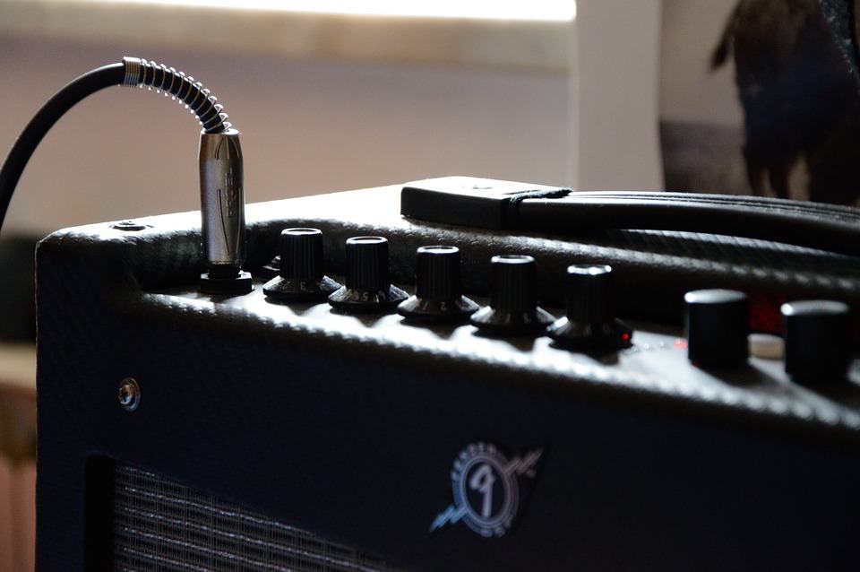Microphone for Guitar Amplifier