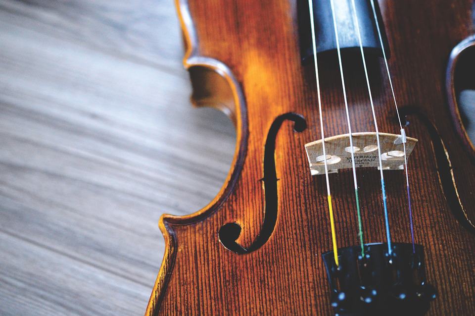 Cuerdas de violín