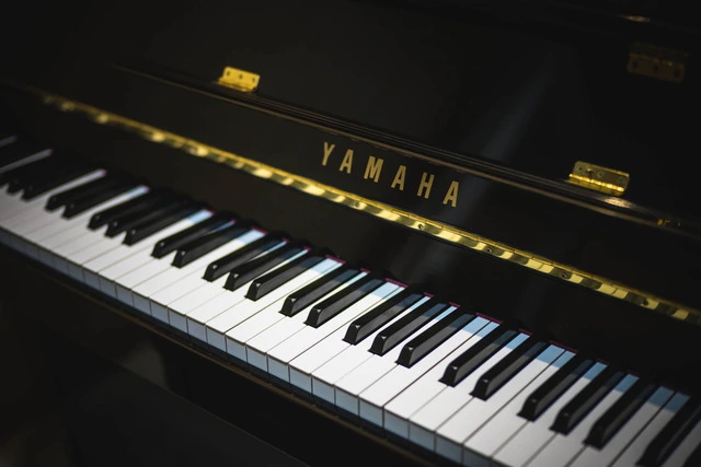 88-key grand piano, highlighting the majestic expanse of piano keys.