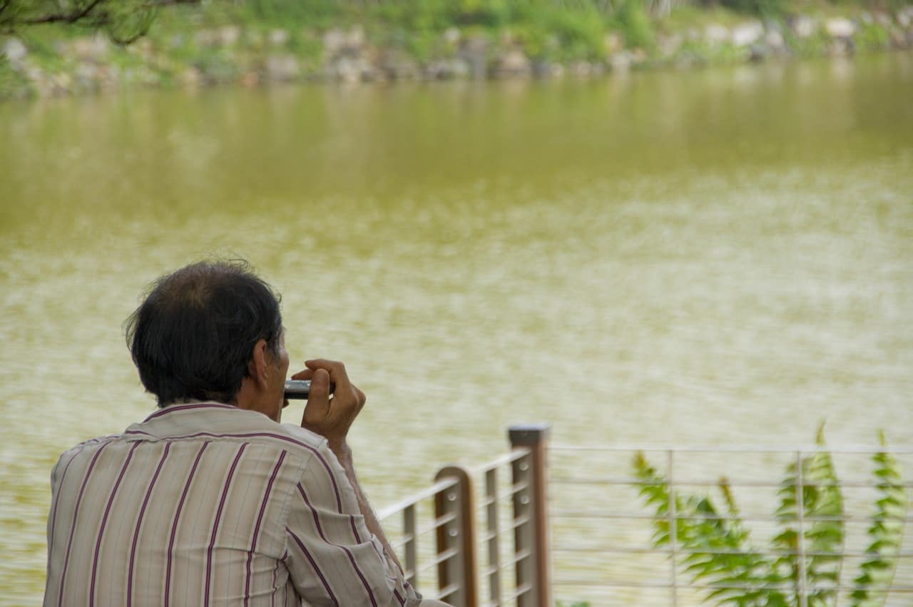 Homme jouant de l'Harmonica