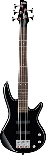 Ibanez 5 String Bass Guitar