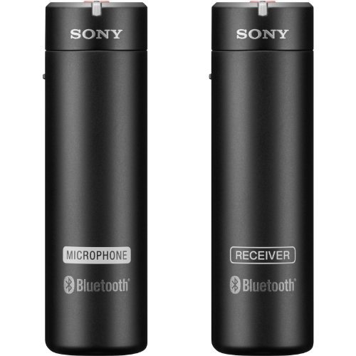 Sony-ECMAW4-Wireless