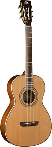 Washburn WP11SNS Parlor Series Acoustic Guitar