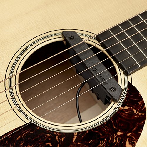 Pastilla de guitarra acústica Fishman Rare Earth Humbucking