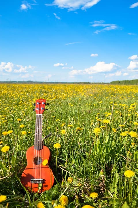 Accessories for a Ukulele