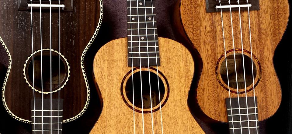 Types of Ukulele