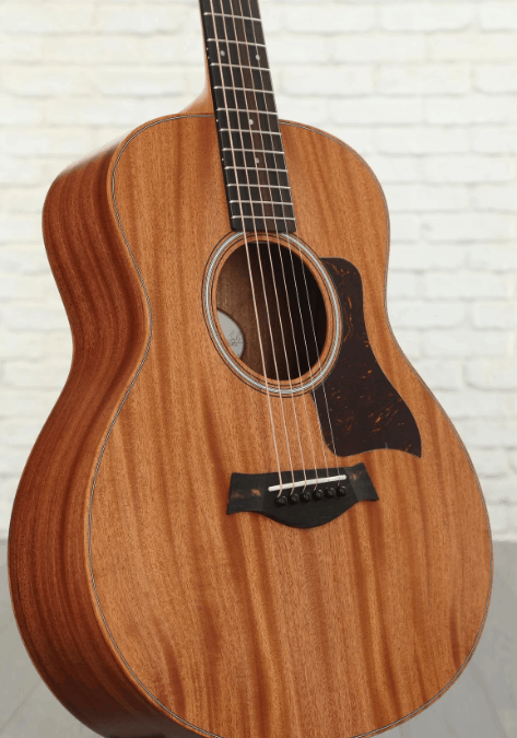 Taylor Gs Mini Acoustic Guitar
