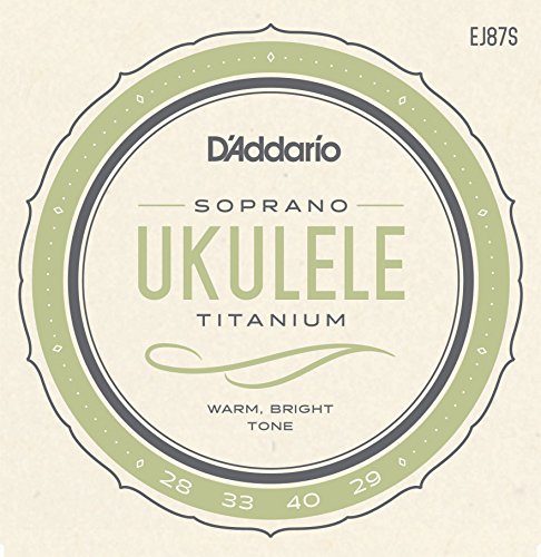 D'Addario EJ87S Titanio