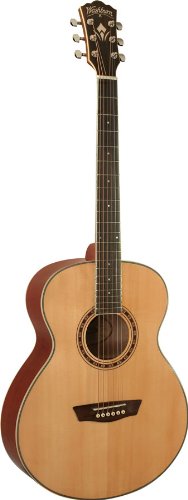 Washburn WD10