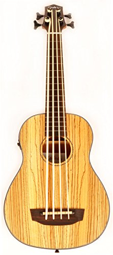 Hadean Acoustic Electric Bass Cut-Away