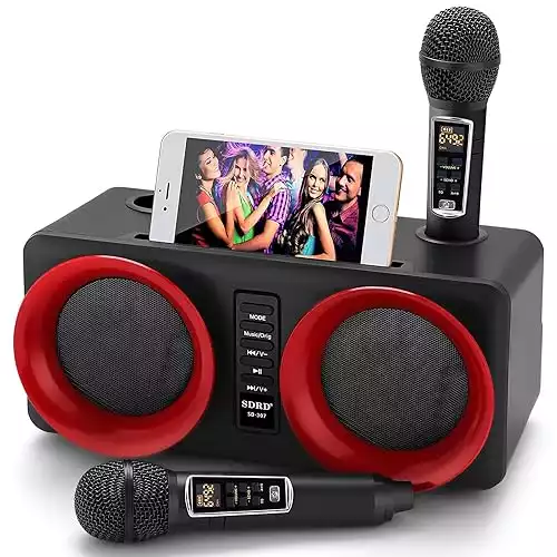 ALPOWL 307 Karaoke Machine