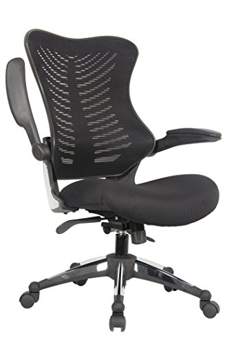 Executive Ergonomic